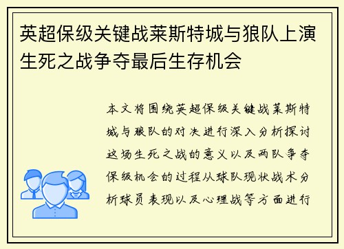 英超保级关键战莱斯特城与狼队上演生死之战争夺最后生存机会